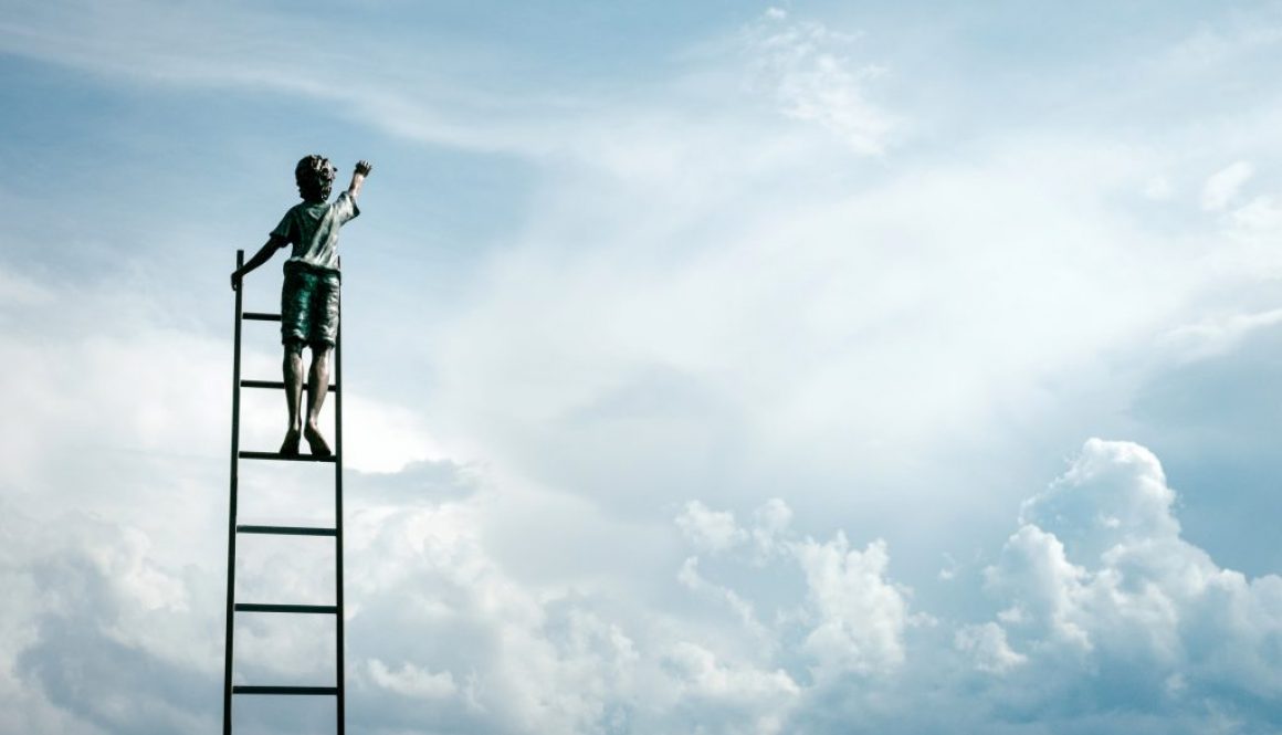 reaching for the sky insurance